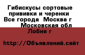 Гибискусы сортовые, прививки и черенки - Все города, Москва г.  »    . Московская обл.,Лобня г.